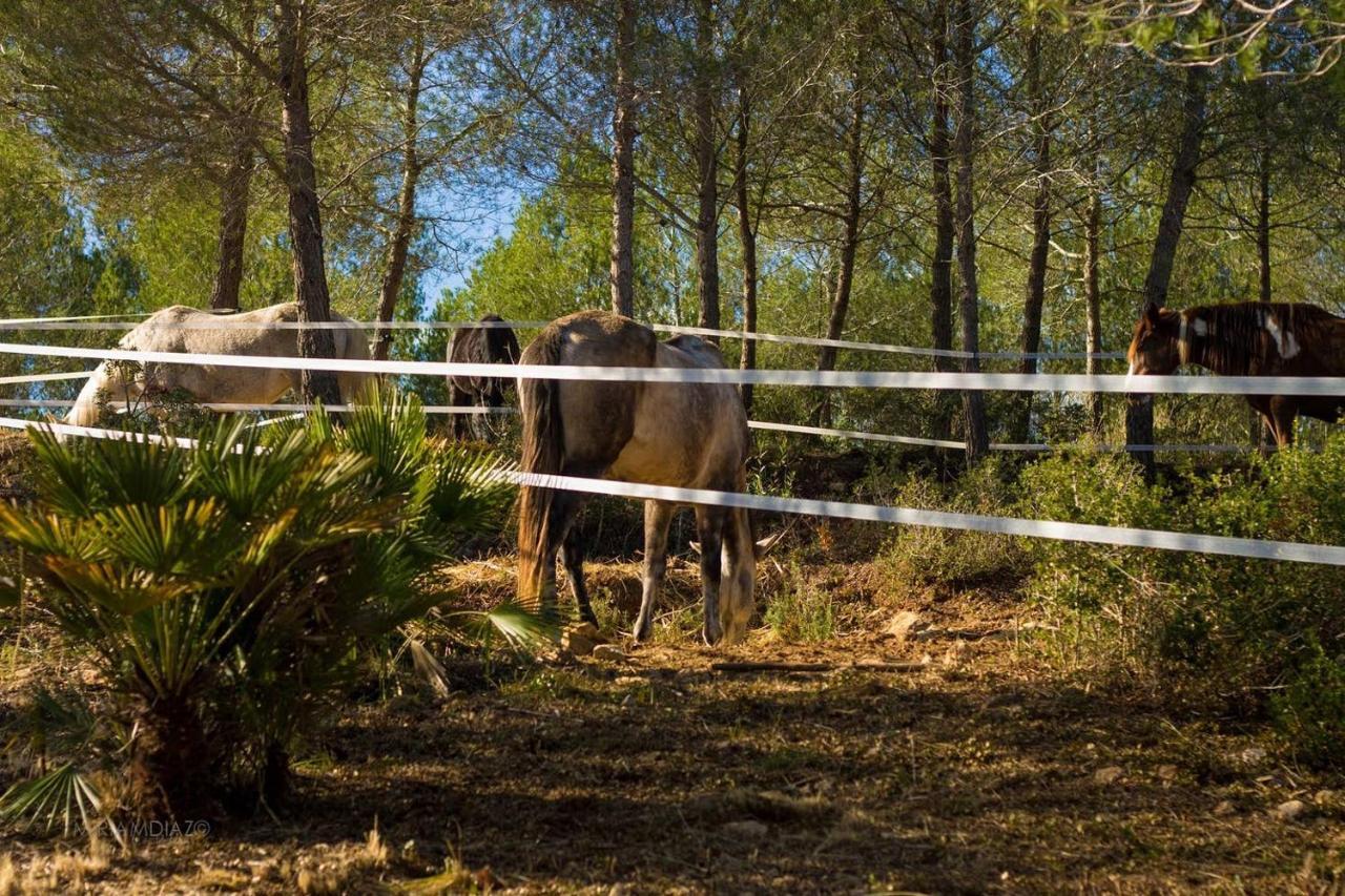 Masia Pou De La Vinya Sitges Bagian luar foto