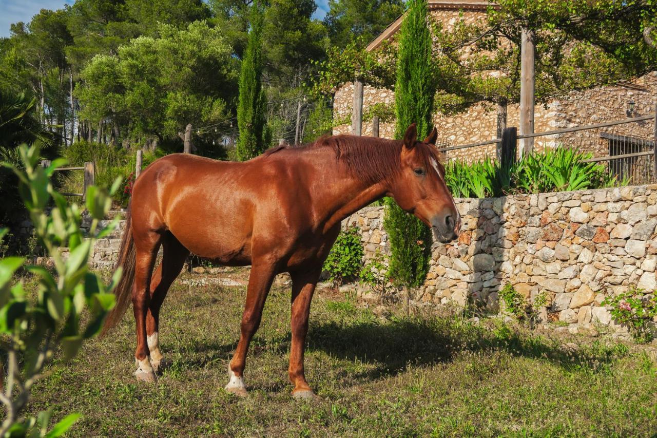 Masia Pou De La Vinya Sitges Bagian luar foto